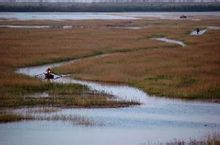 Hengshui Lake vleiland - Bladsye [1] - Wêreld ensiklopediese kennis